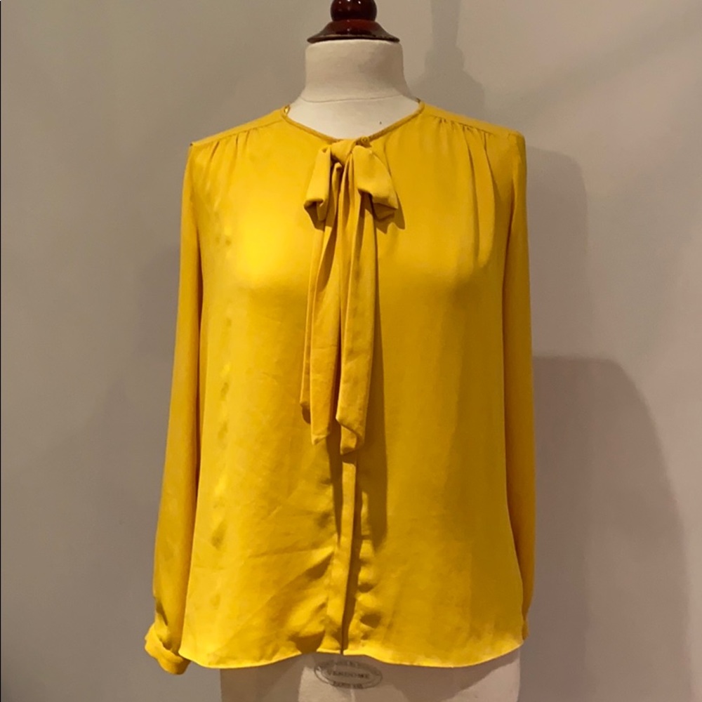 Zara Flowy Semi-Sheer Blouse